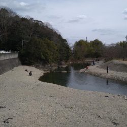 クランクベイトに好反応